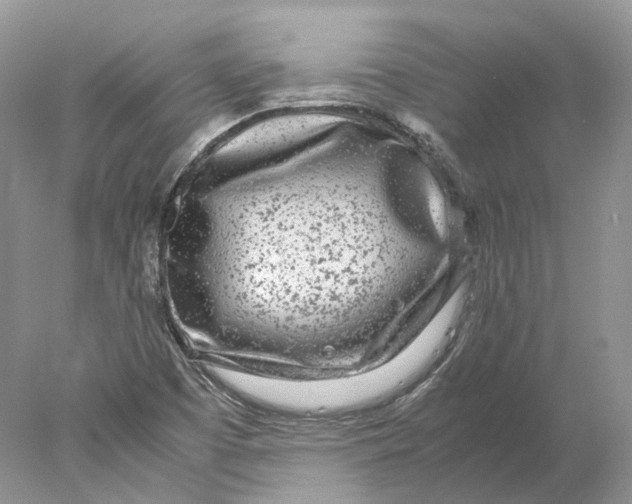 X0000078001457200611171808