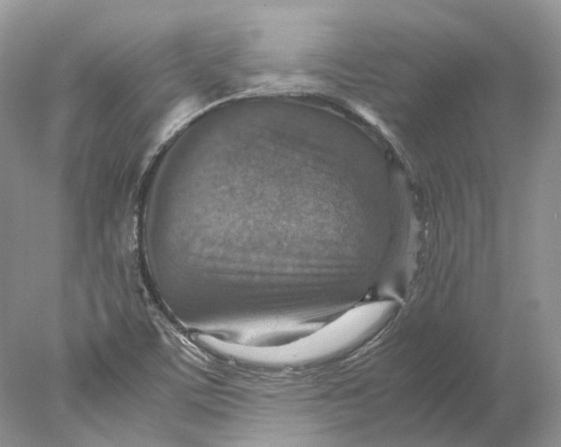 X0000078001459200611171808