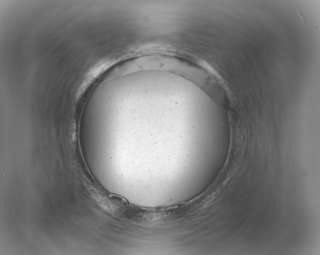 X0000078001461200611171808
