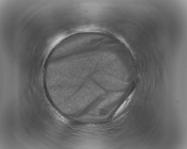 X0000078001463200611171808