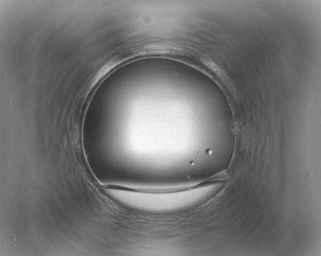 X0000078001465200611171808