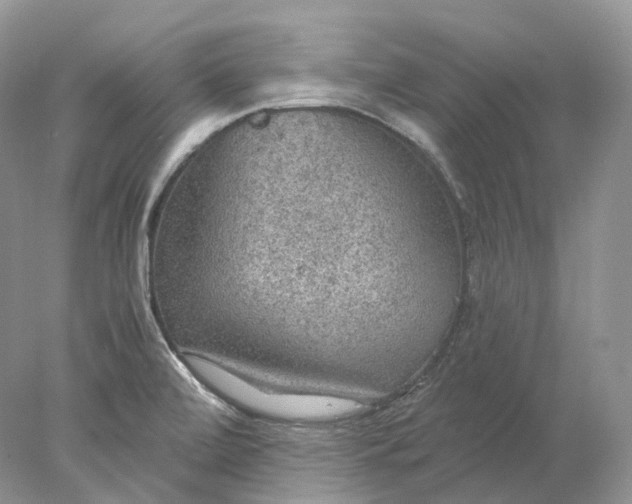 X0000078001472200611171808
