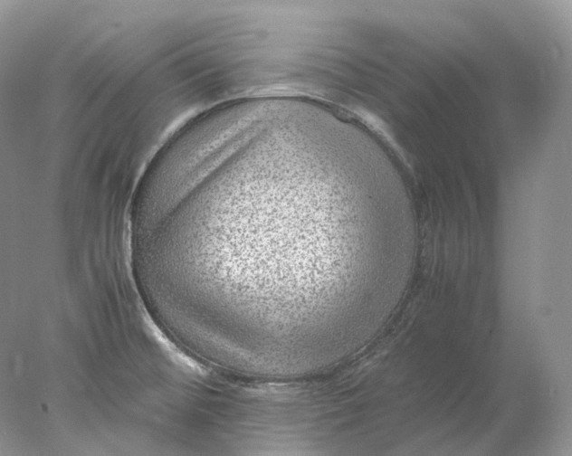 X0000078001476200611171807