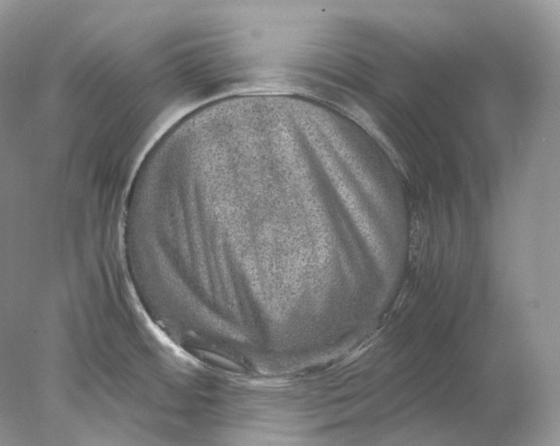 X0000078001484200611171807