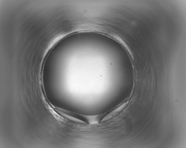 X0000078001485200611171807