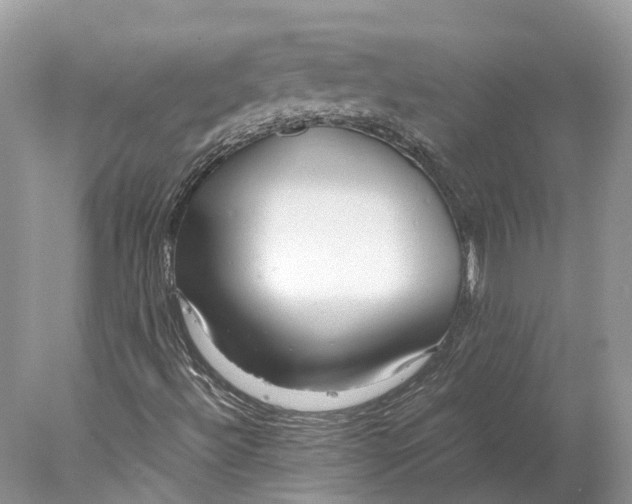 X0000078001492200611171807