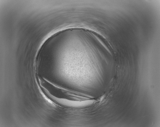 X0000078001519200611171807