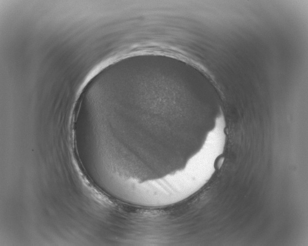 X0000078001522200611171807
