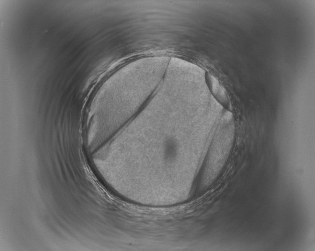 X0000078000002200611251449