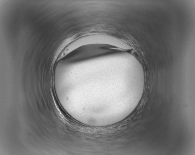 X0000078000003200611251449