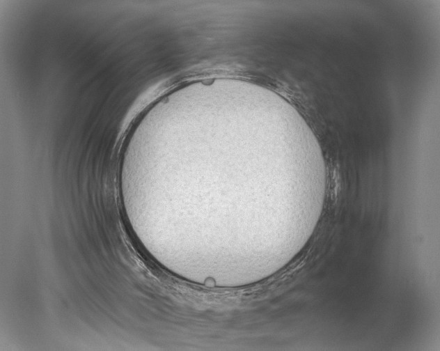 X0000078000004200611251449