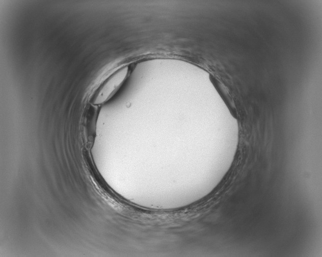 X0000078000005200611251449