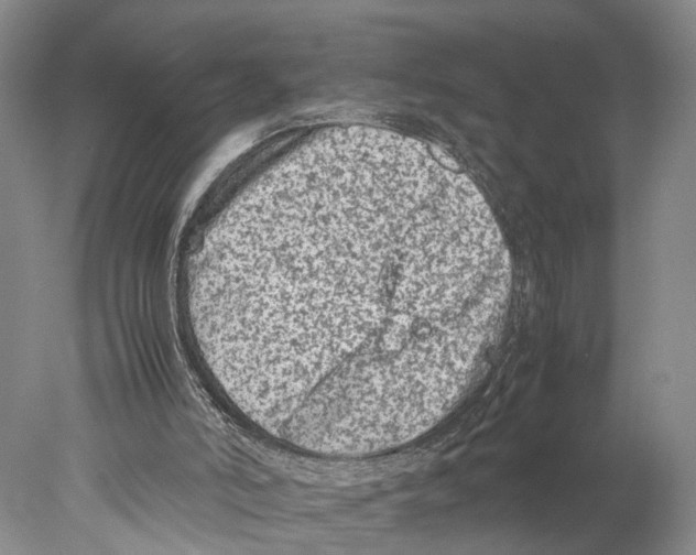 X0000078000006200611251449