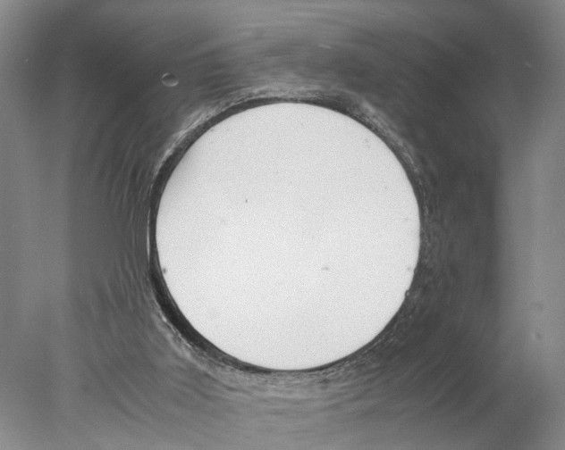 X0000078000011200611251449