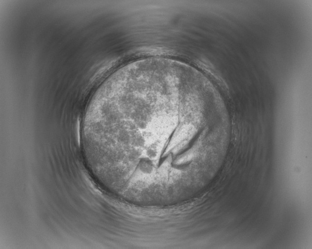 X0000078000014200611251449