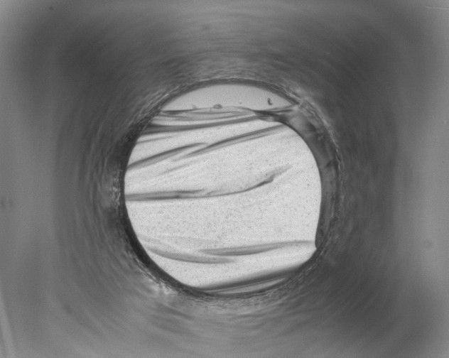X0000078000017200611251449