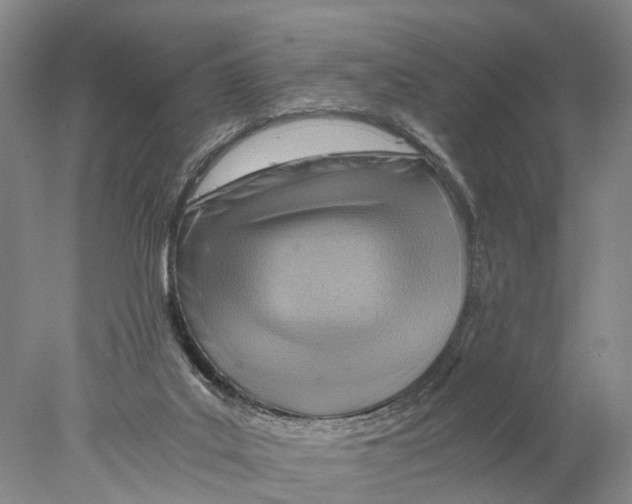 X0000078000019200611251449