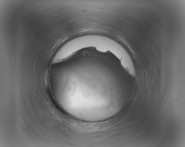X0000078000023200611251449