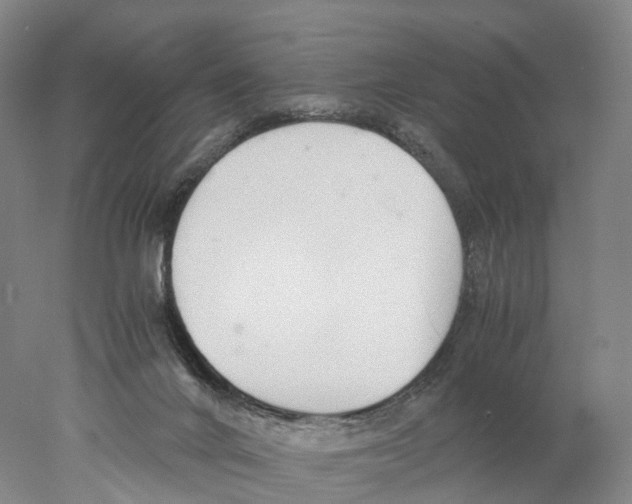 X0000078000024200611251449