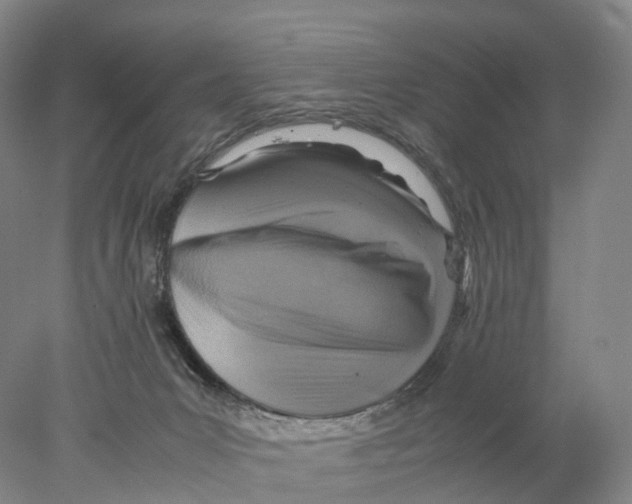 X0000078000031200611251449