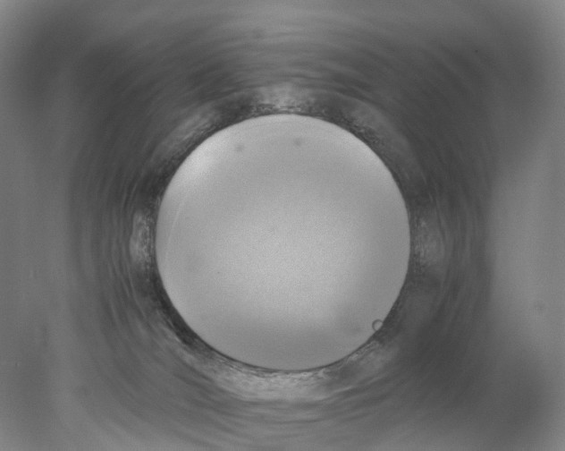 X0000078000036200611251449