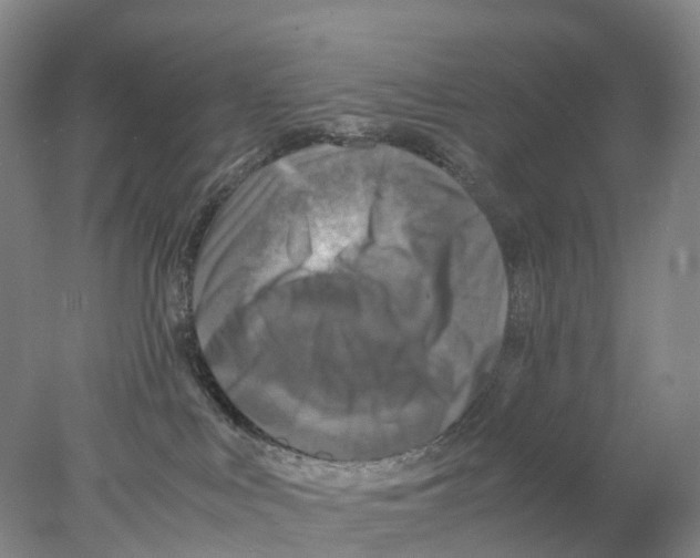 X0000078000043200611251448