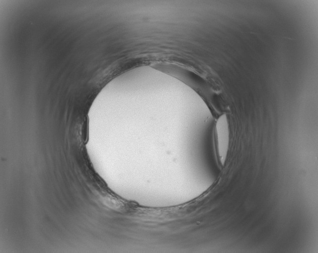 X0000078000045200611251448