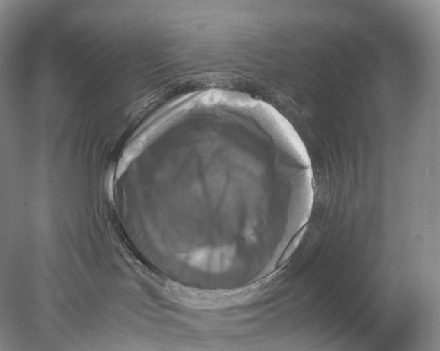 X0000078000047200611251448