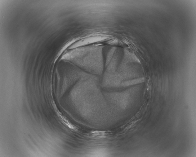 X0000078000052200611251448
