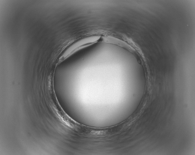X0000078000057200611251448