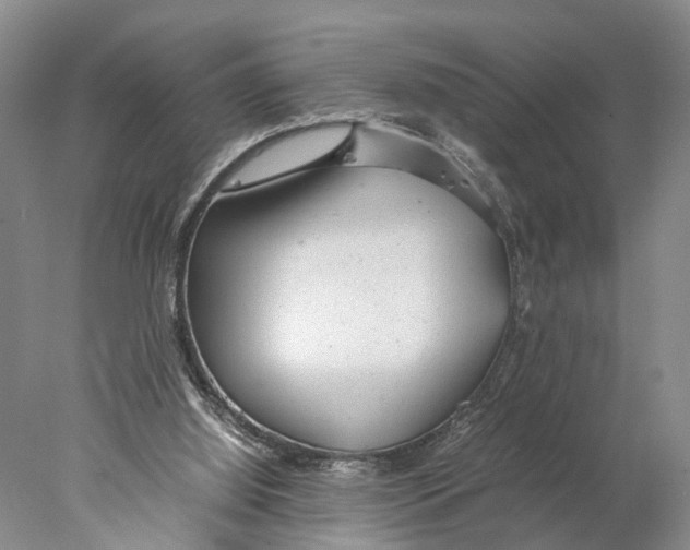 X0000078000060200611251448