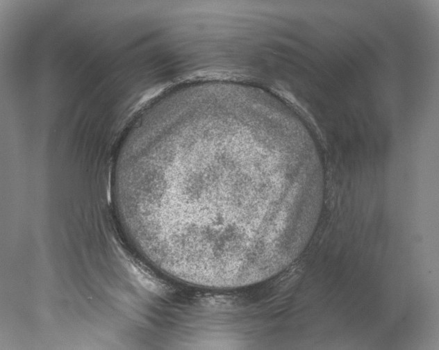 X0000078000062200611251448