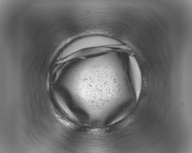 X0000078000064200611251448