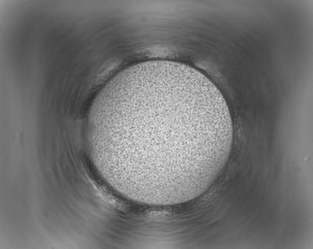 X0000078000066200611251448