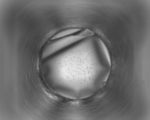 X0000078000068200611251448