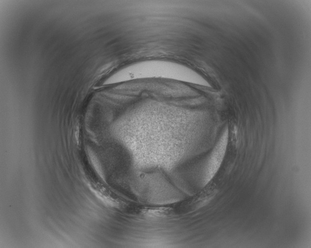 X0000078000072200611251448