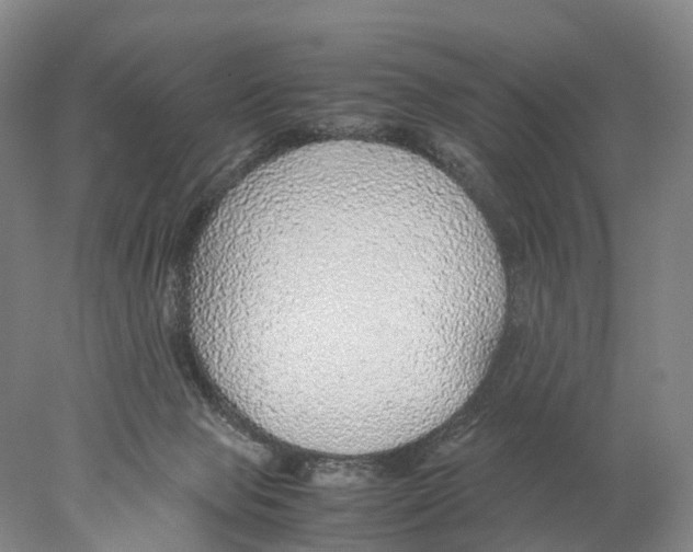 X0000078000077200611251448