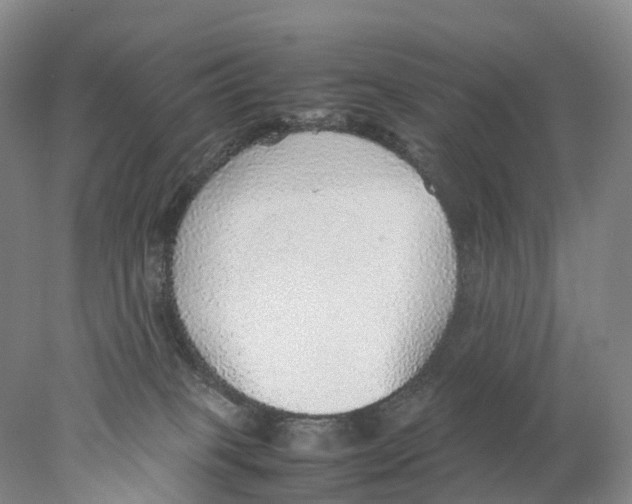 X0000078000085200611251448