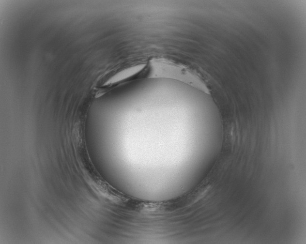 X0000078000088200611251448