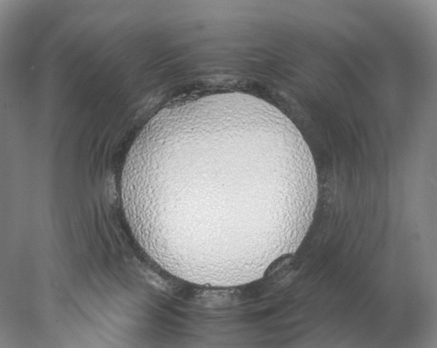 X0000078000089200611251448