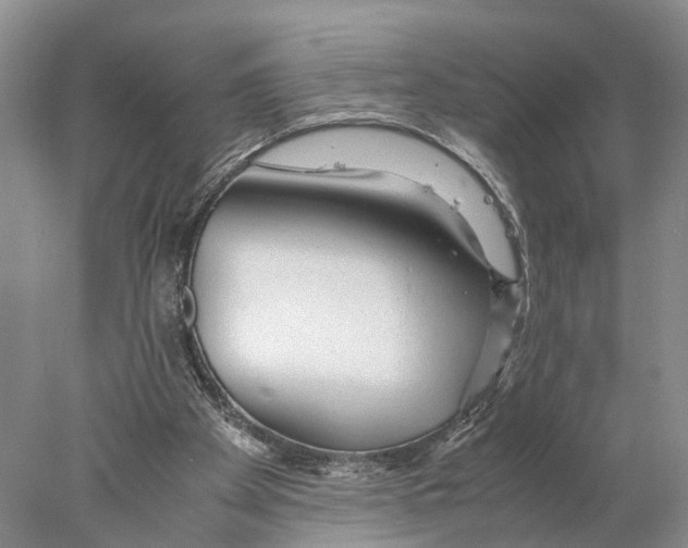 X0000078000105200611251447