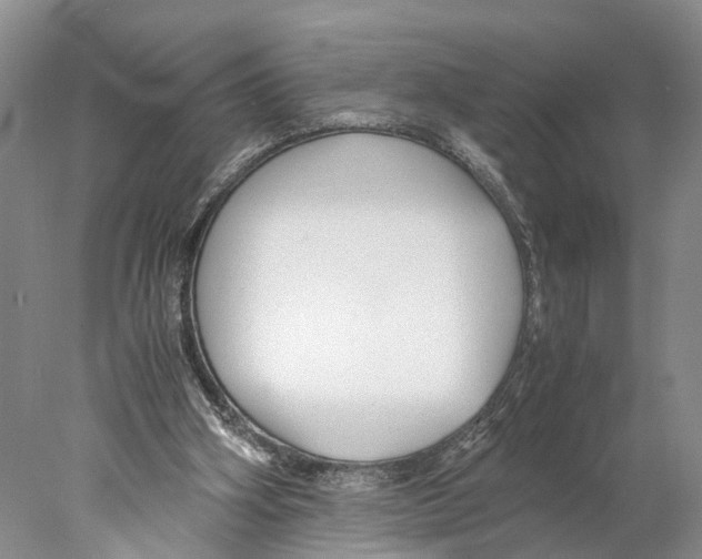 X0000078000106200611251447