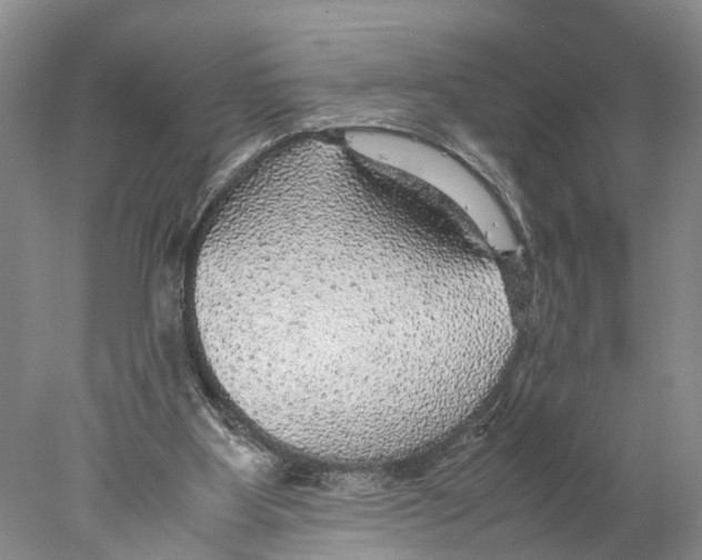 X0000078000107200611251447