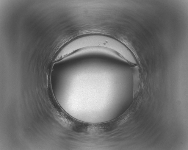 X0000078000109200611251447