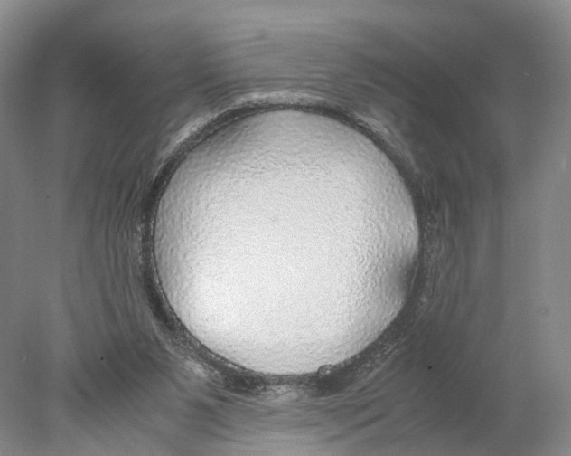 X0000078000111200611251447