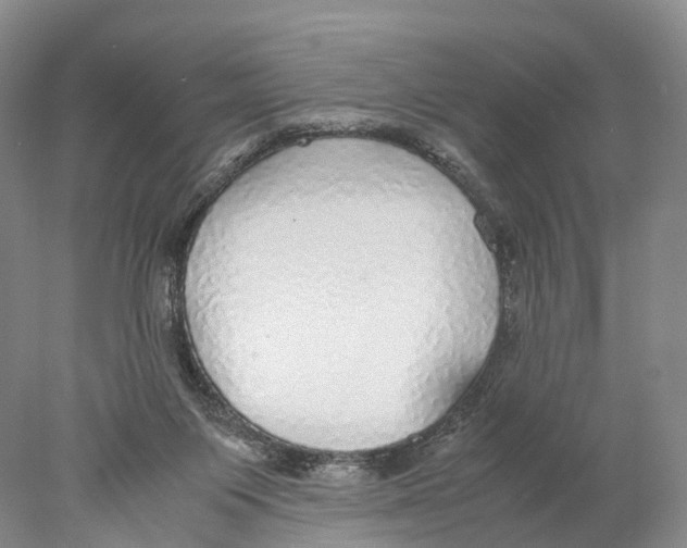 X0000078000119200611251447