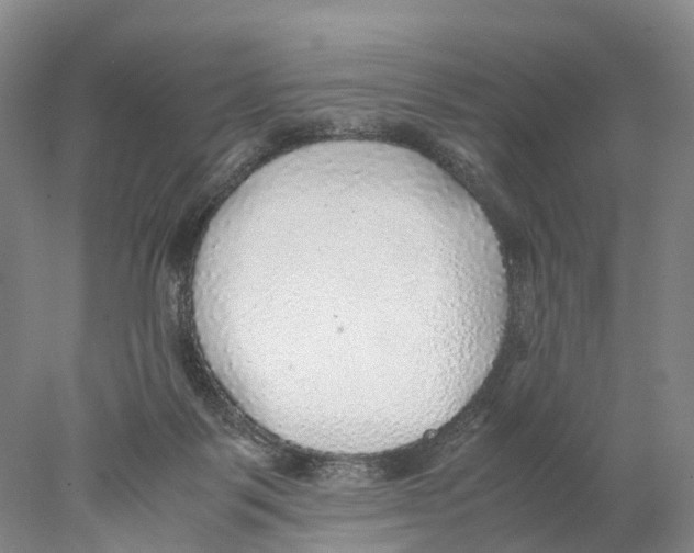 X0000078000123200611251447