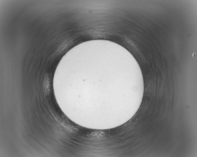 X0000078000124200611251447