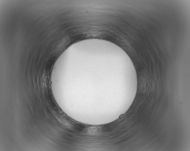 X0000078000126200611251447