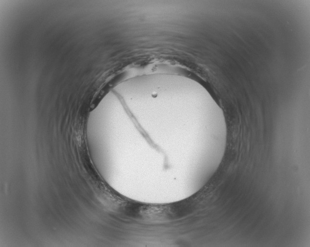 X0000078000129200611251447